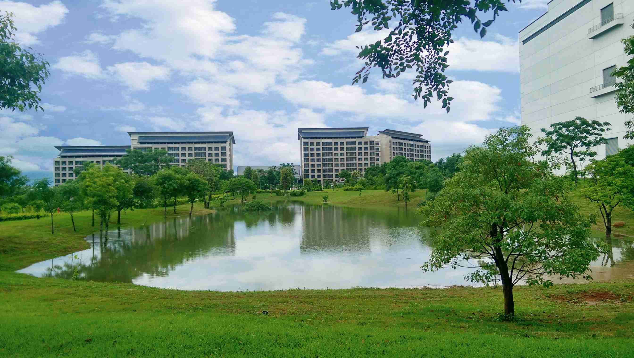 龙门国际响应国际倡议生物多样性趋势，，，，首次发布TNFD自然相关财务揭露报告书，，，，擘划及开展龙门国际生物多样性政策之承诺，，，，逐步迈向与自然和谐共生